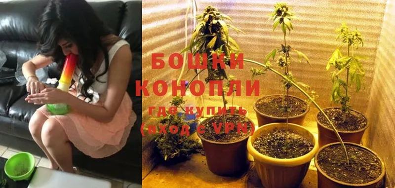 Марихуана Ganja  Нюрба 